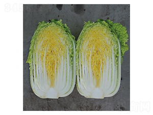 �����S-�ײ˷N��-��Ļ��