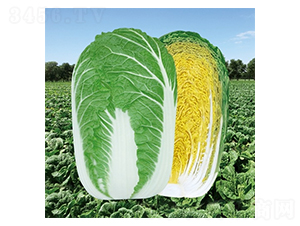 ��Ļ����Ʒ-�ײ˷N��-��Ļ��