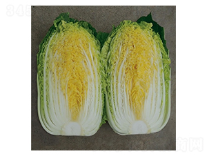 ��Ļ��254-�ײ˷N��-��Ļ��