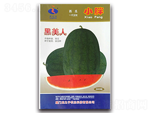 С�ֺ�����-���ϷN��-��֮��