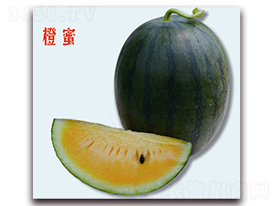 ����-��ϷN��-��֮��