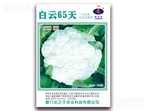 ����65��-�ɻ��˷N��-��֮��