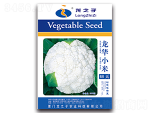 ���AС��68��-�ɻ��˷N��-��֮��