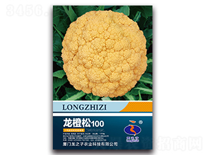 ������100-�ɻ��˷N��-��֮��