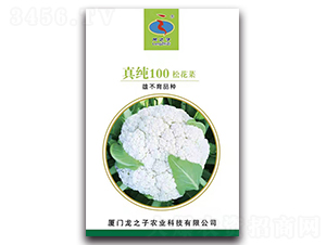 �漃100-�ɻ��˷N��-��֮��