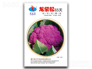 ������65��-�ɻ��˷N��-��֮��