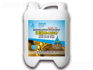 ����������ط�-�|��