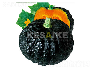 �wِ�w�Ϲ�-�ϹϷN��-�wِ�w