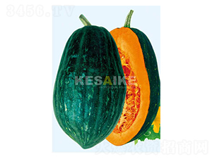 �����Ϲ�-�ϹϷN��-�wِ�w