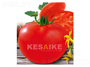 ِ��˹-���ѷN��-�wِ�w