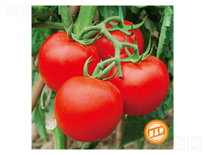 5918-���ѷN��-�wِ�w