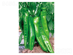 ِ�S��̖-�����N��-�wِ�w