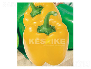 �ʹ�һ̖-�𽷷N��-�wِ�w