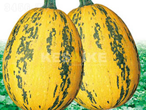 �r�l(f��)һ̖-�����J�N��-�wِ�w