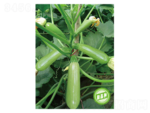 �P��ʮ��̖-�����J�N��-�wِ�w