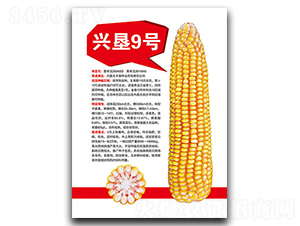 �d��9̖-���׷N��-�S���N�I(y��)