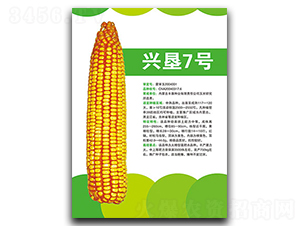 �d��7̖-���׷N��-�S���N�I(y��)