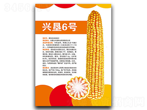 �d��6̖-���׷N��-�S���N�I(y��)