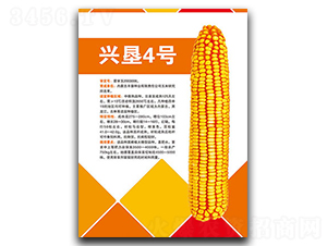 �d��4̖-���׷N��-�S���N�I(y��)