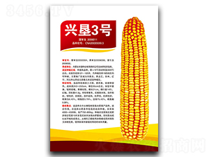 �d��3̖(h��o)-���׷N��-�S���N�I(y��)