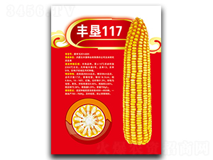 �S��117-���׷N��-�S���N�I(y��)