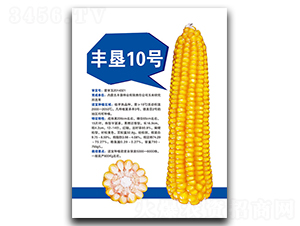 �S��10̖-���׷N��-�S���N�I(y��)