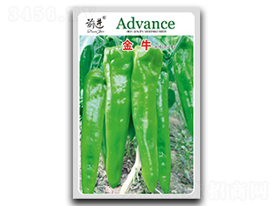 ��ţ-�⽷�N��-ǰ�M