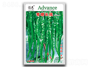 �����L��-�ݽz���N��-ǰ�M