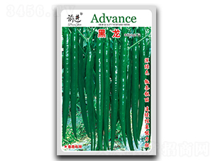 ����-�����N��-ǰ�M