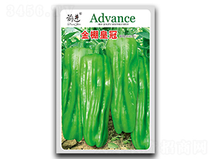 ����ʹ�-��Ƥ���N��-ǰ�M(j��n)