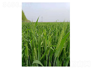 ����669-С���N��-��(chu��ng)���N�I(y��)