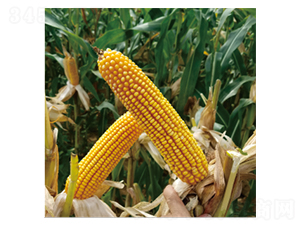 ����121-���׷N��-��(chu��ng)���N�I(y��)