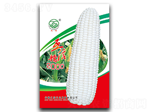 ����Ŵ2000-Ŵ���׷N��-�|���r(n��ng)�I(y��)