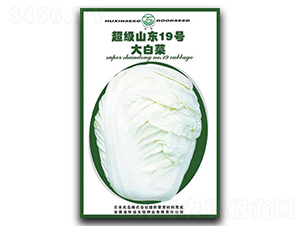 ����(j��)ɽ�|19̖(h��o)-�ײ˷N��-�|���r(n��ng)�I(y��)