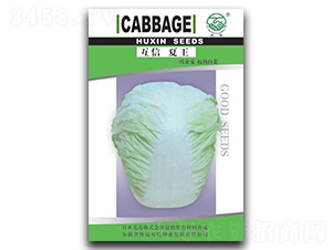 ��������-�ײ˷N��-�|���r(n��ng)�I(y��)