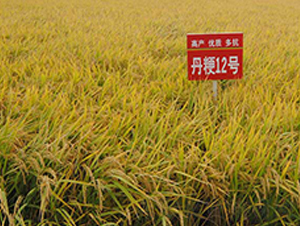 ����12̖(h��o)-ˮ���N��-����N�I(y��)