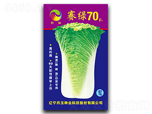 ِ�G70-�ײ˷N��-����N�I(y��)