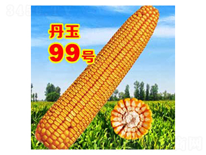 ����99̖-���׷N��-����N�I(y��)