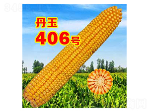 ����406̖-���׷N��-����N�I(y��)