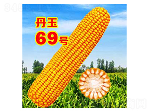 ����69̖-���׷N��-����N�I(y��)