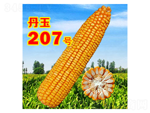 ����207̖-���׷N��-����N�I(y��)