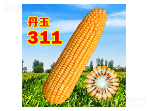 ����311-���׷N��-����N�I(y��)