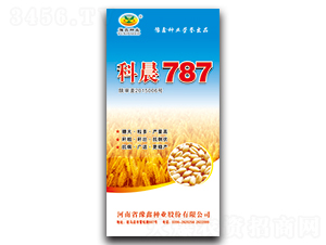 �Ƴ�787-С���N��-ԥ�ηN�I(y��)