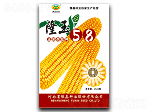 ¡��58-���׷N��-ԥ�ηN�I(y��)