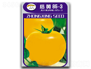 ���S85-3-���ѷN��-�N�ǷN�I(y��)