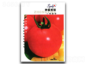 �N�Ƿ۹�-���ѷN��-�N�ǷN�I(y��)