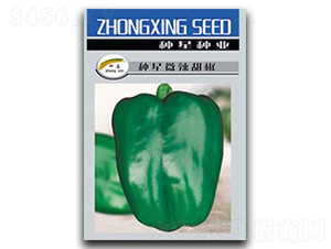 �N��΢����-�𽷷N��-�N�ǷN�I(y��)