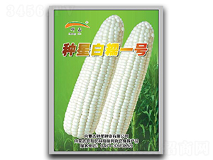 �N�ǰ�Ŵ1̖(h��o)-Ŵ���׷N��-�N�ǷN�I(y��)