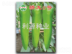 ���8̖(h��o)-�����N��-��Դ�N�I(y��)