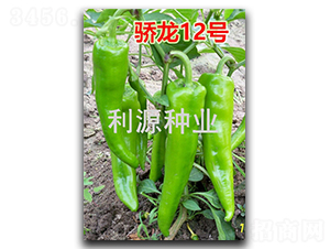 ���12̖(h��o)-�����N��-��Դ�N�I(y��)